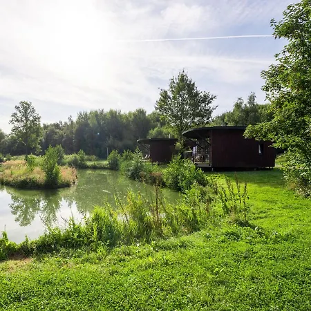 Modern Nature Retreat